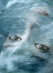 Ogni tuo sguardo