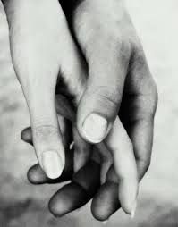 Insieme