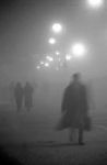 Nebbia emigrante