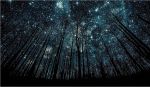 Notte senza luna