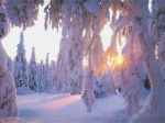 Sulla neve nasce il sole