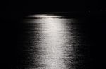 Come luna