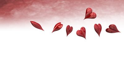 Sette cuori