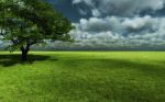 Canto del vento sulla prateria dell Amore