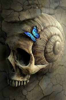 Ombre nellanima