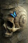 Ombre nellanima