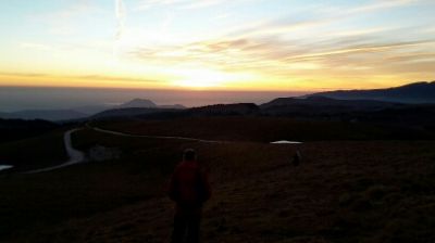 Rallentare