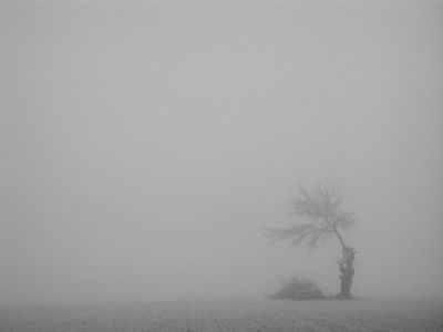 Fumo nella nebbia
