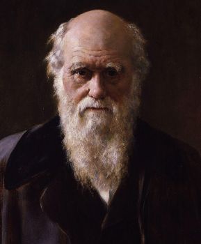 Solo questo  un uomo