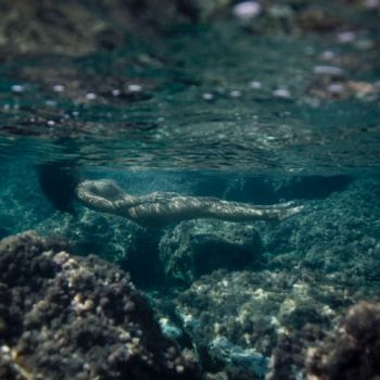 Acqua