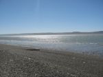 Estuario