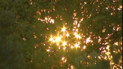 Riflessi