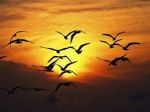 Andare via
