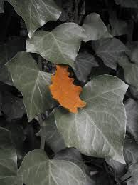Ad ogni et...il suo colore!