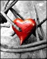 Una spina nel cuore