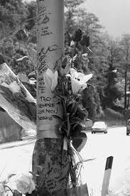 Amor sottratto