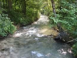 Come un fiume al mare