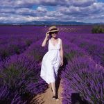 Nel cuore quel profumo di lavanda