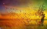 Il Sogno Di Un Ritorno