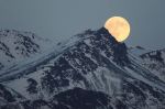Alla Luna