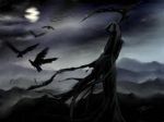 Un corvo tra le rose