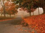 Come le foglie in autunno