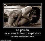 Pasion por ti