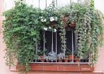 Ventana complice