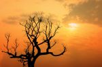 Tramonto dinverno