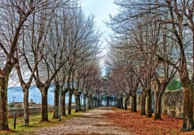 Ritorno sul viale