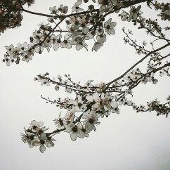 Il temporale