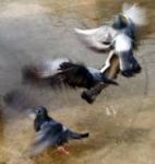 Primo volo