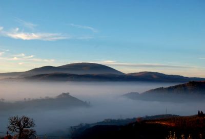 Nebbia