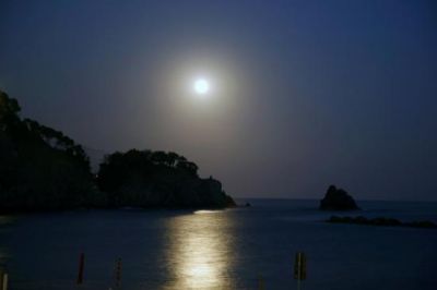 L'amore in una notte d'estate