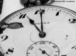 Ticchetto del tempo  