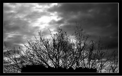Cielo grigio