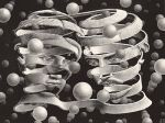 Entropia