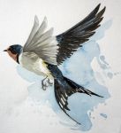 Vento di primavera