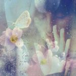 Farfalla di sogno