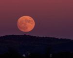 Luna delle fragole