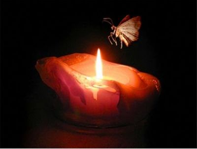 Come il fuoco