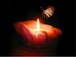 Come il fuoco