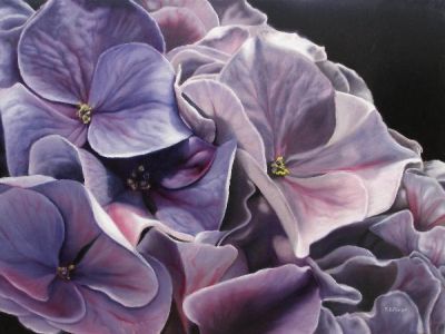 Fiori secchi
