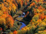 ”Maestoso Autunno”