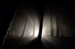 Fra le tenebre