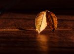 Dalla luce al buio (linfinito scorrere)
