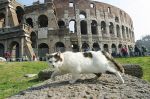 Quanto sei bella Roma