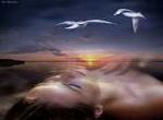 Sogno