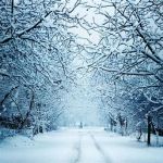 Neve