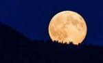 Ululati nella notte